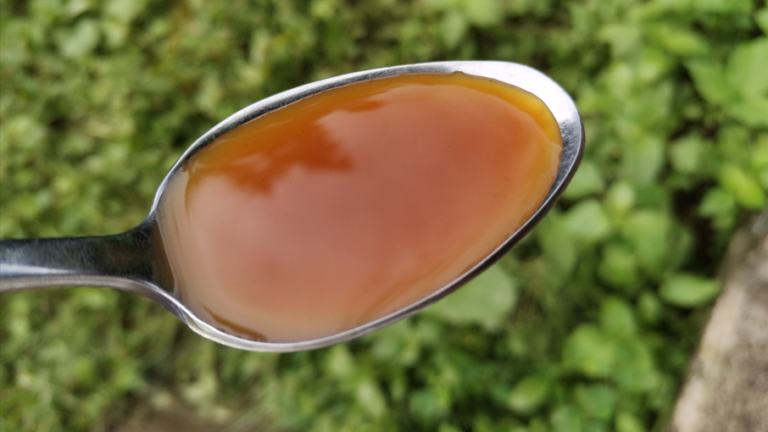 Spoonful of stingless bee honey