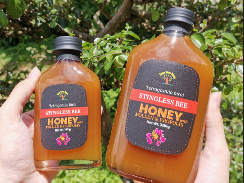 Two bottles of stingless bee honey