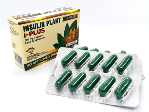 Insulin Plant Capsules